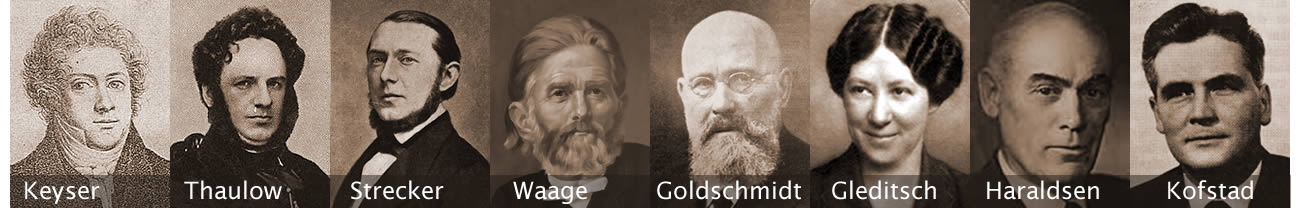 Faggruppe for kjemiens historie
