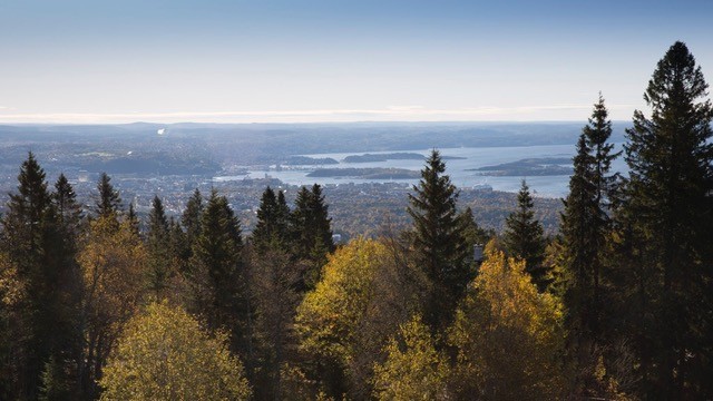 Utsikt fra Voksenåsen